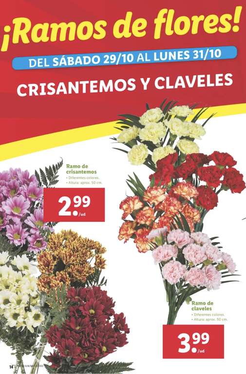 Ramos de flores por 2,99€ en Lidl (29/10)