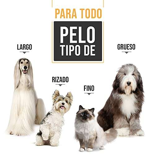 PetKing Premium Maquina Cortar Pelo Perros Maquina de Cortar Pelo para Perros 42% Descuento