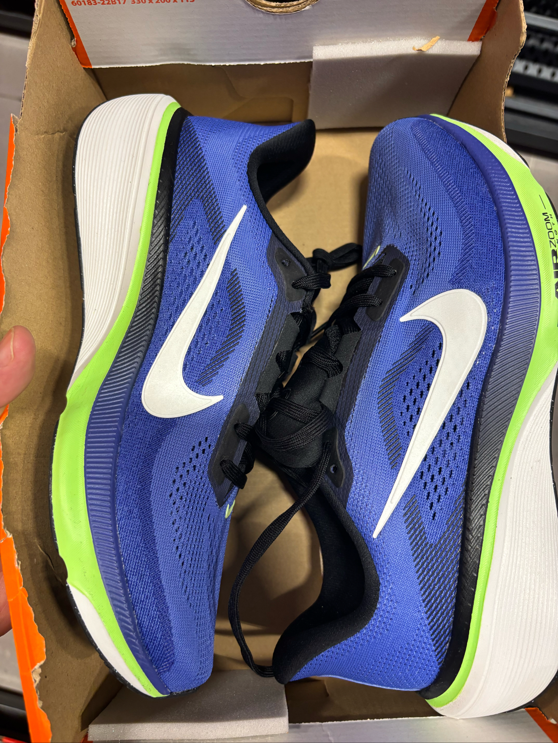 Nike pegasus 42