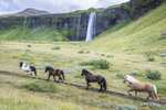 Circuito de 8 días por la Isla de Hielo Viaje por Islandia con vuelos, hoteles, coche y más Desde 982€ PxPm2 junio