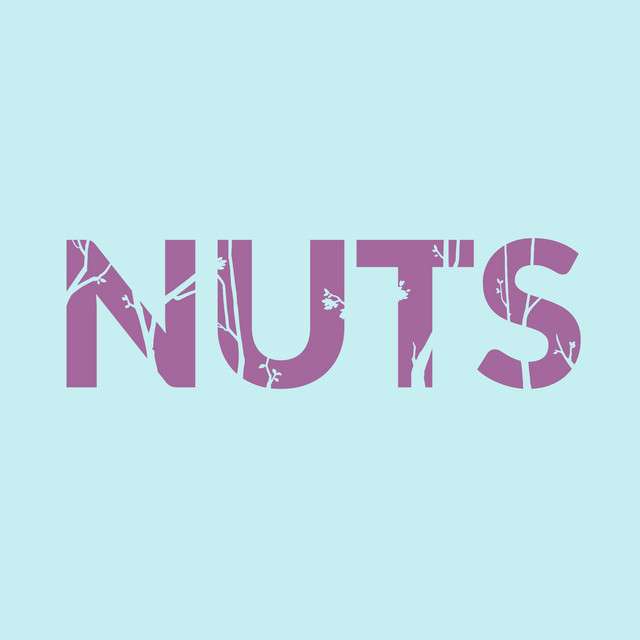 Nuts - Steam (Kinguin)