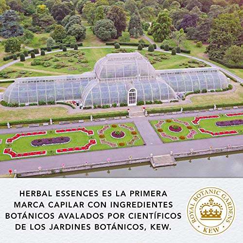 Herbal Essences bio:renew Mascarilla Reparación Aceite De Argán De Marruecos 6 x 250ml (compra R)