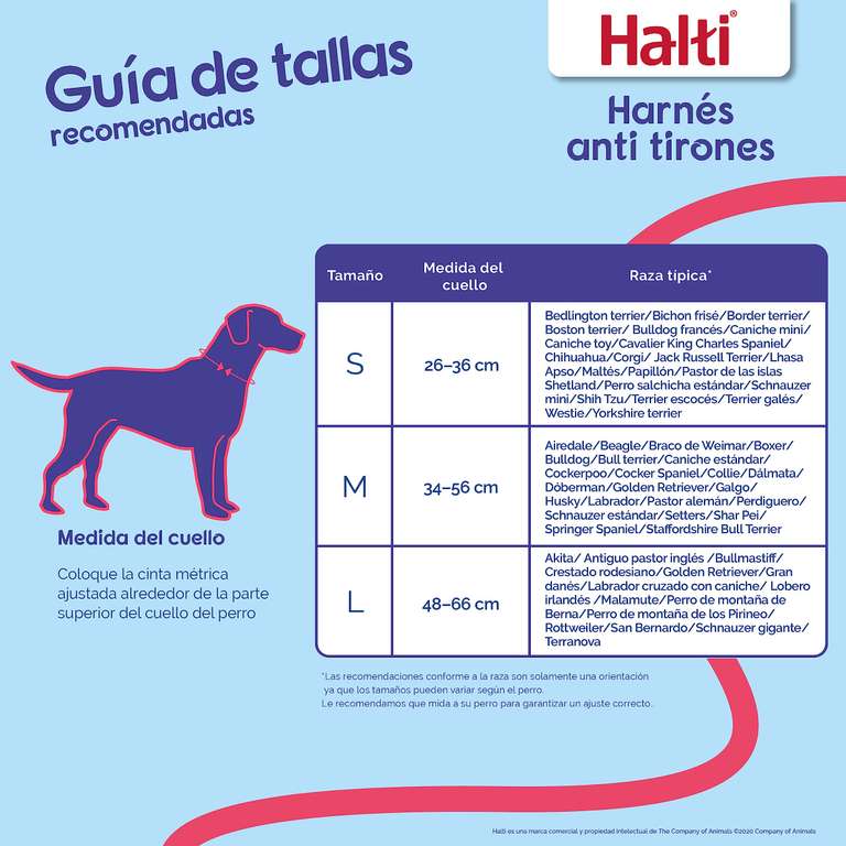 Arnés anti tirones HALTI - Ajustable, Ligero y Fácil de Usar. Reflexiva Adiestramiento canino Arnés para perros medianos (Talla M)