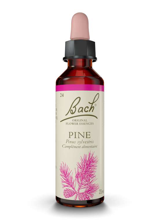 Fleurs de bach original n 24 pine - 20 ml