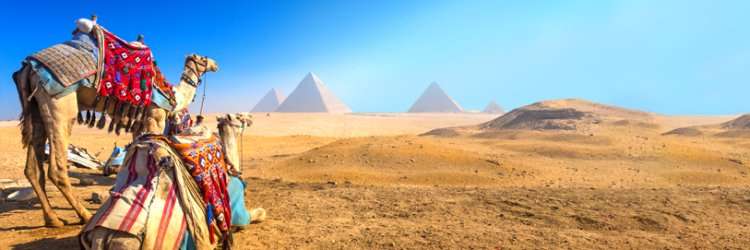 Egipto viaje de ensueño Circuito de 7 noches con hotel 4*,vuelos, excursiones exclusivas y crucero con pensión completa por 499 euros! PxPm2
