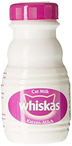 Leche para gato whiskas