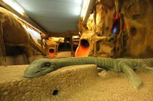 Hotel familiar ¡dinosaurios! en Teruel por 40 euros! PxPm2 hasta junio incluido