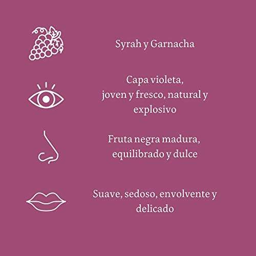 Viñas del Vero Violeta - Vino Tinto - Syrah y Garnacha - D.O. Somontano - 3 botellas de 750 ml - Total: 2250 ml