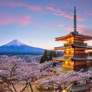 JAPON en Circuito : 10 DIAS :VUELOS + hoteles + traslados + seguro - Osaka, Kioto y Tokio- (Ene) P.p