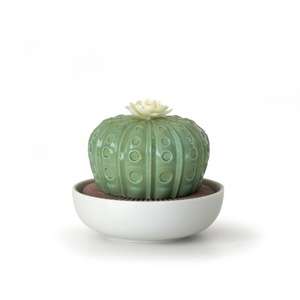 Difusor Cactus Astrophytum.Aroma Llega la noche Lladró