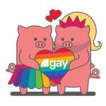 Dominio .gay GRATIS primer año en Porkbun
