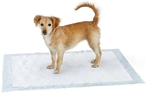 Almohadillas de adiestramiento de perros y cachorros, diseño de 5 capas a prueba de fugas con superficie de secado rápido, XL, 60 unidades