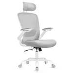 SONGMICS Silla de Oficina OBN047G01