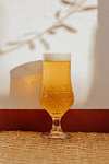 ALHAMBRA - Alhambra Radler Lager Singular, Cerveza Radler, Pack de 24 Latas x 33 cl - 3 % Volumen de Alcohol