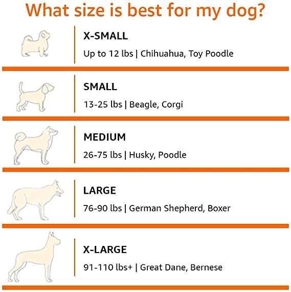 Amazon Basics - Transportín para perros, blando, plegable, 53 cm