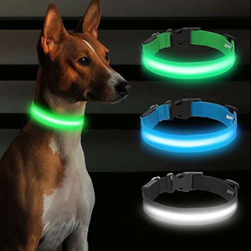 Collar luminoso LED para perro, impermeable, ajustable, USB 3 modos de iluminación