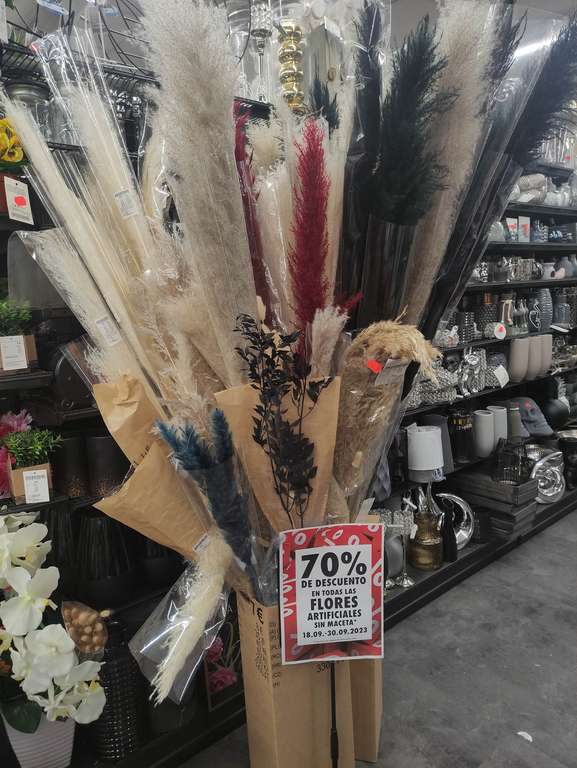 70% en todas las flores artificiales sin maceta en Tiendas TEDI