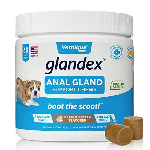 Glandex Soft Chews - Suplemento digestivo probiótico de glándula Anal para Perros