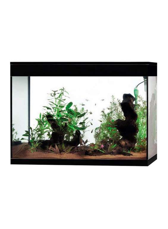 Acuario Completo Askoll Pure High Cube LED XXL 130L (Filtro 4 Etapas en Tapa, Iluminación LED con Efectos Diurnos, Temporizador Táctil)