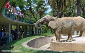 Zoo de Barcelona entrada GRATIS si vas con niños 21 y 22 de Diciembre