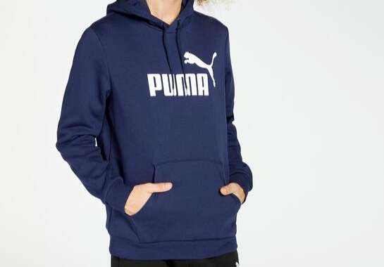Sudadera con capucha Puma Essentials (Todas las tallas)