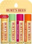 Burt's Bees - Paquete Múltiple de Bálsamo Labial, Cera de Abejas, Pepino y Menta, Sandía, Mandarina Dulce, Freshly Picked, 4 x 4.25 gramos
