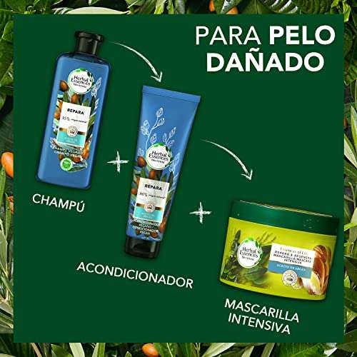 Herbal Essences bio:renew Champú Reparación, Aceite de Argán de Marruecos 400 ml, con ph neutro e ingredientes naturales