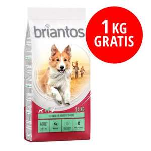 1kg de pienso gratis para perro en la marca Briantos (comprando 13Kg)