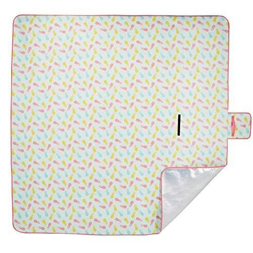 Amazon Basics - Manta para pícnic con base impermeable, 200 x 200 cm
