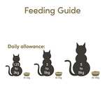 Applaws Natural Completo Alimento Seco para Gatos sin Granos Pollo con Extra de Cordero para Gatos Adultos - Bolsa 7.5kg