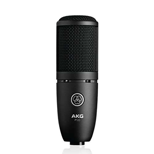 AKG - P120 Perception Micrófono Cardioide Vocal, Negro