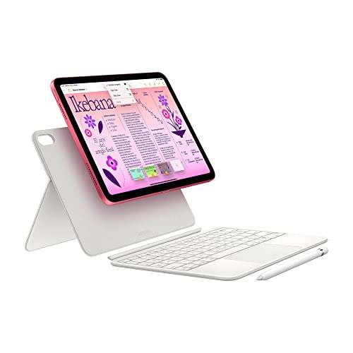 Apple 2022 iPad de 10,9 Pulgadas (Wi-Fi + Cellular, 256 GB) - Rosa (10.ª generación)