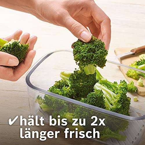 Bosch Hogar FreshVaccum Bolsa para envasar al vacío, 1 Liter, Plástico Libre de BPA, Transparente