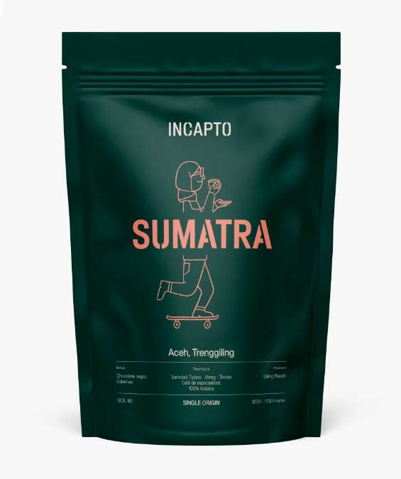 3 kg de Incapto Café de Especialidad en Grano: Pack Degustación Worldwide 10 bolsas de 100 gr + Sumatra 1kg + México 1 kg