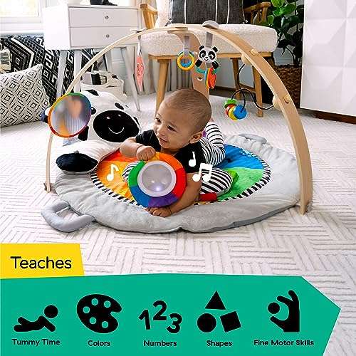 Baby Einstein, Gimnasio de peluche con barra de madera, para bebés y niños pequeños, 0-12 meses, lavable a máquina