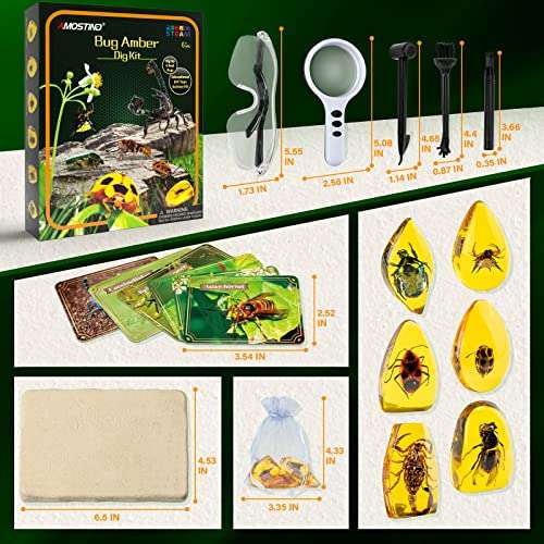 Juegos educativos - fósil de ámbar - gemas de insectos de resina sintética - kit de excavación, lupa, guía de estudio y bolsa
