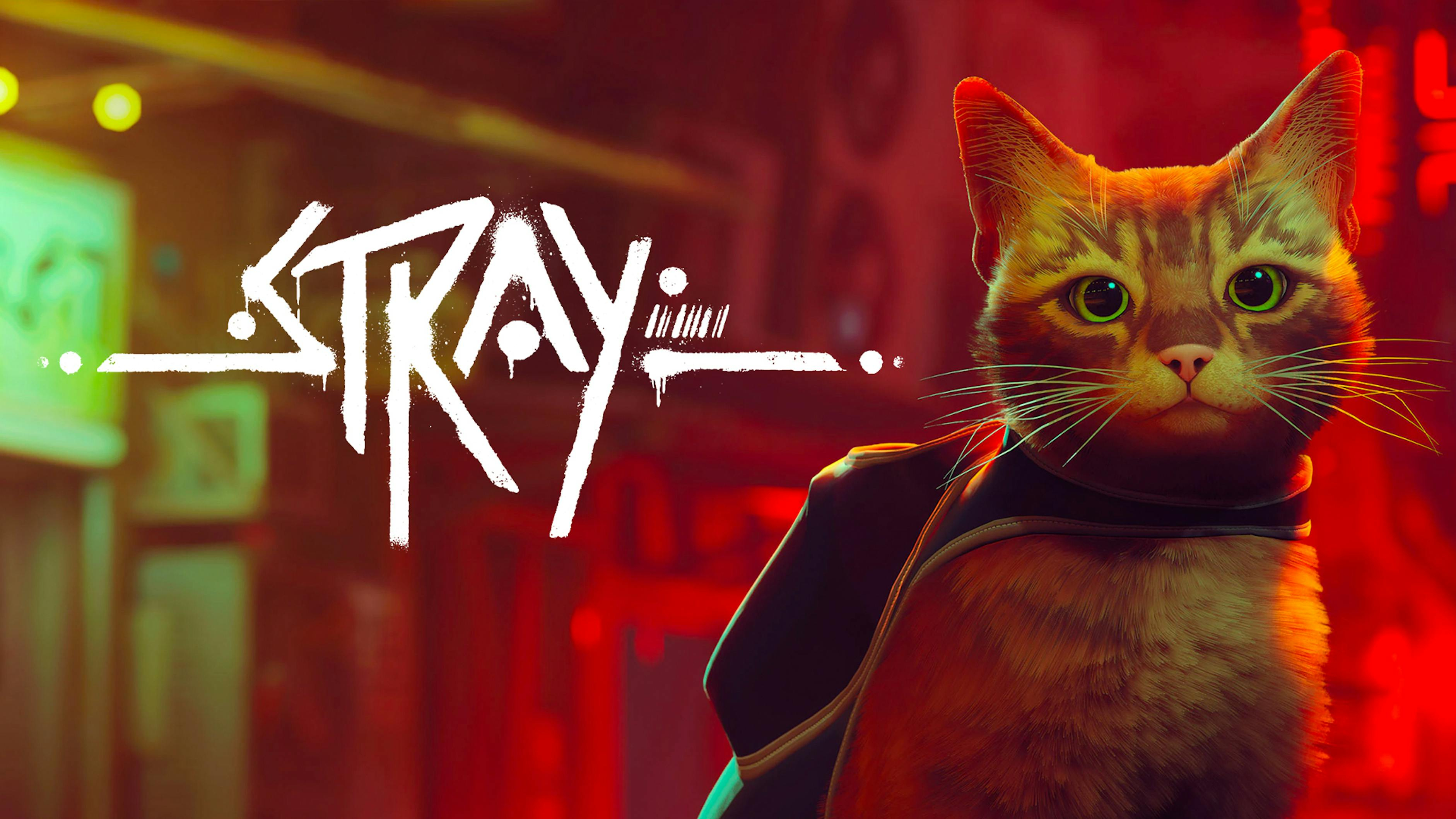 Stray en PC