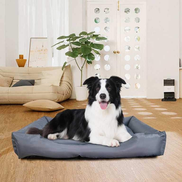 Imagen de Angel Living Cama para Mascotas, C