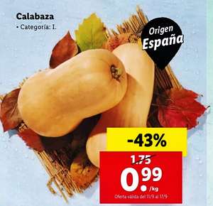 Calabaza Origen España Cat. I a 0,99€ el Kilo