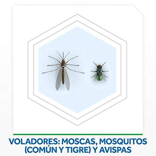 Pack de 3 Raid - Moscas y Mosquitos, Spray Insecticida Aroma Frescor Natural, 600ml
