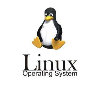 Linux: Más de 50 Cursos, Libros y recursos para formarte