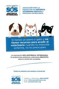 Asistencia veterinaria GRATUITA personas con pocos recursos Gijón