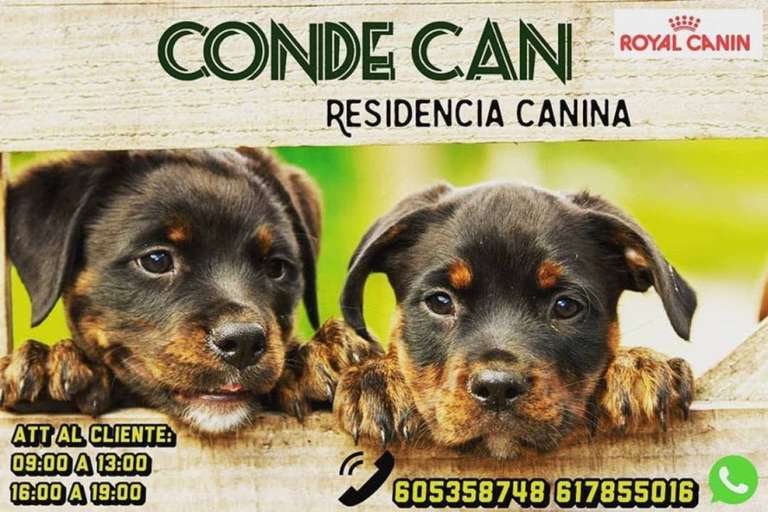 Gratis Residencia Canina para sanitarios (Madridejos, Toledo)