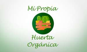 Curso aprende a crear tu propia huerta orgánica, en español