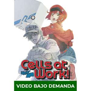 Anime Cells at Work! en DVD