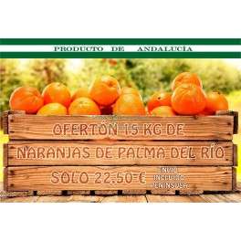 15 kg de naranjas de Palma del Río recién cogidas