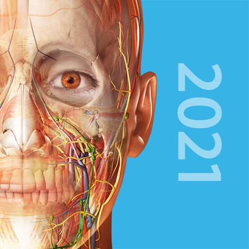 App Atlas de Anatomia Humana 2021 de Visible Body