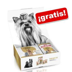 Pack gratis pienso Royal Canin