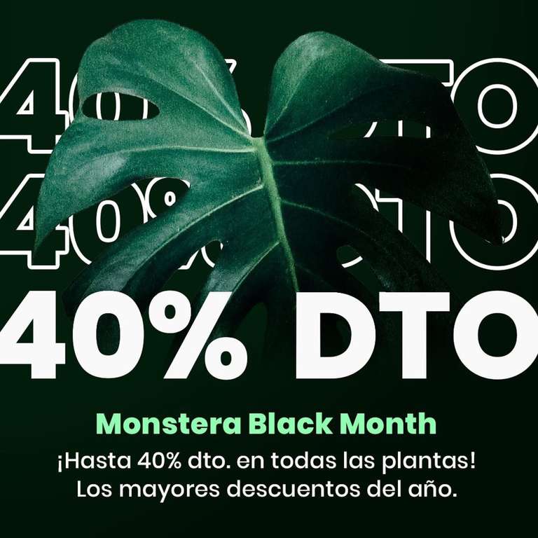 Hasta el 40% en todas las plantas en MONTSERA + Cupón -5% Extra