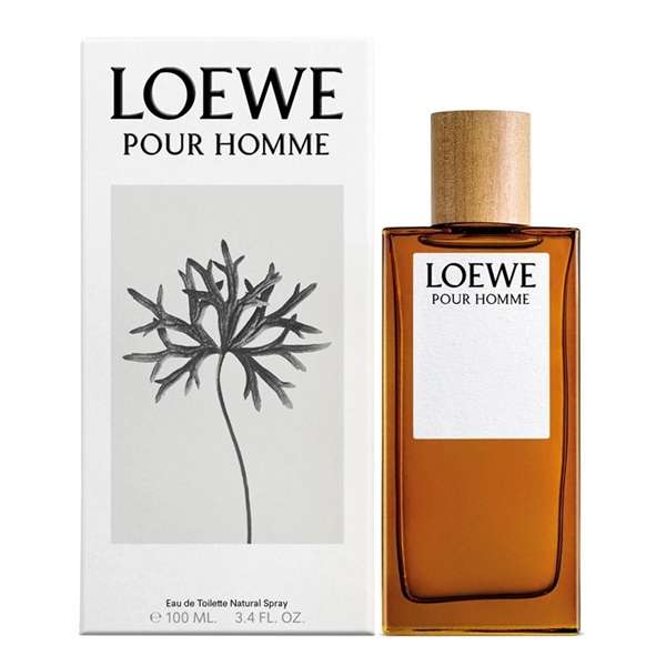 Loewe Pour Homme EDT 100ml